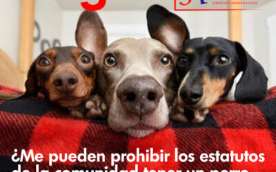 ¿Me pueden prohibir los estatutos de la comunidad tener un perro en mi piso en propiedad?